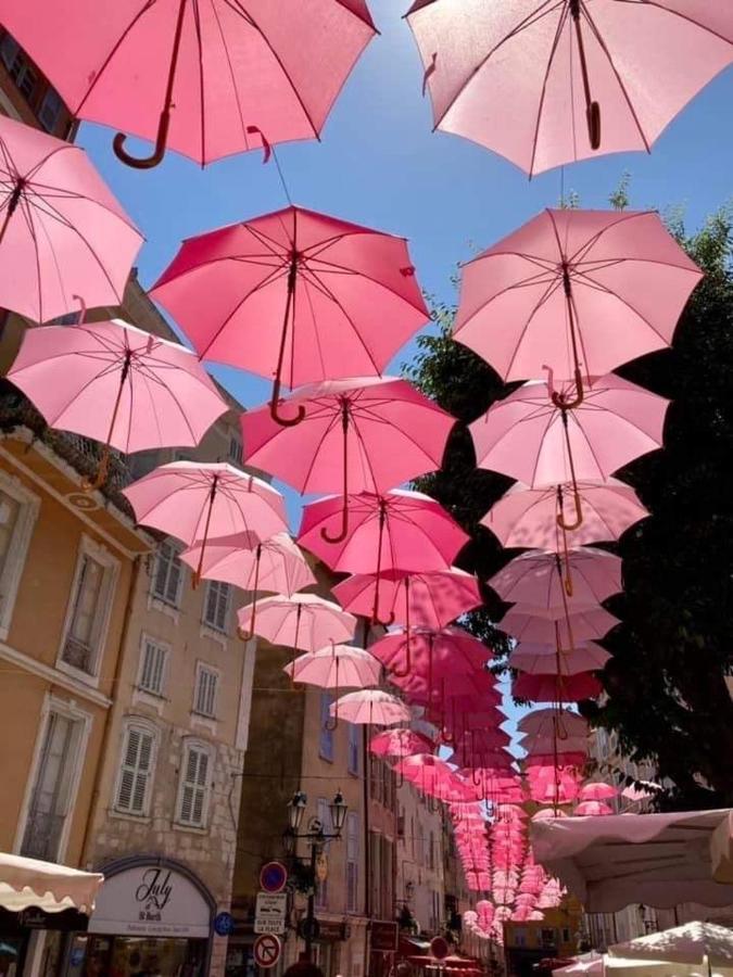 Clim Jardin Et Parking Prive -Piscine Tennis Et Park Vue Mer グラース エクステリア 写真